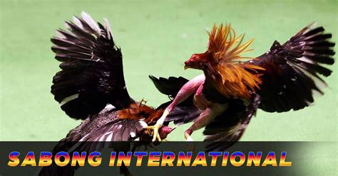 sabong global